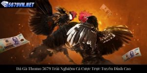 Đá Gà Cựa Sắt 5679 Trải Nghiệm Cá Cược Đỉnh Cao Online