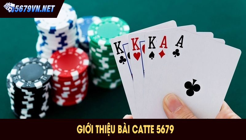  giới thiệu bài catte 5679