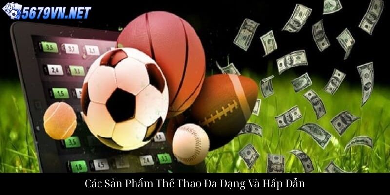 Các Sản Phẩm Thể Thao Đa Dạng Và Hấp Dẫn