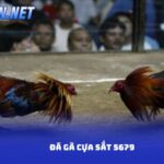 Đá Gà Cựa Sắt 5679