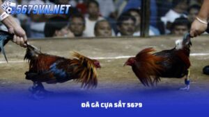 Đăng Ký 5679 Hướng Dẫn Chi Tiết Để Trở Thành Thành Viên Sành Điệu