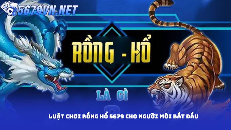Luật chơi rồng hổ 5679 cho người mới bắt đầu